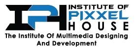 Institute Of Pixxel House
